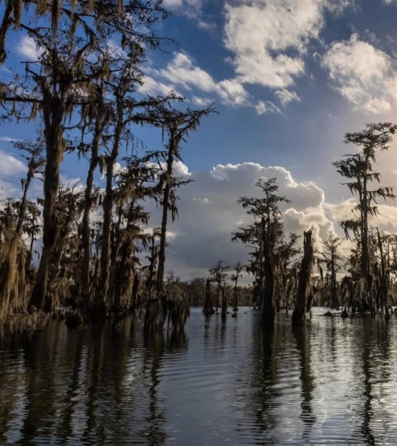 Poster phim Thử Thách 60 Ngày Sinh Tồn Trần Trụi Trong Đầm Lầy Đen Louisiana Full